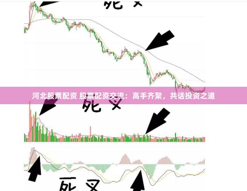 河北股票配资 股票配资交流：高手齐聚，共话投资之道