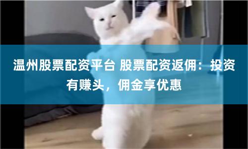 温州股票配资平台 股票配资返佣:投资有赚头,佣金享优惠