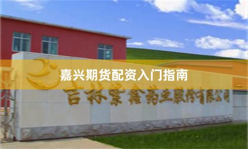 嘉兴期货配资入门指南
