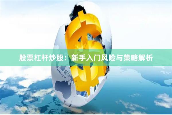 股票杠杆炒股：新手入门风险与策略解析